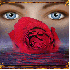 La rose rouge