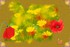 charmes des fleurs