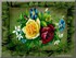 toutes Les fleurs sont belles