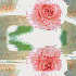 Le mariage des roses
