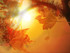 couleurs d'automne