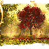 couleurs d'automne