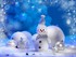 l'hiver !