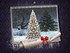 l'hiver !