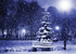 Nuit de neige !