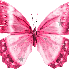 La Légende du papillon !