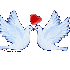 La Légende du papillon !
