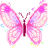 La Légende du papillon !
