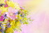 impression printemps !