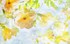 impression printemps !