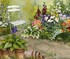 Le moulin au printemps