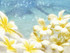 La beauté du printemps
