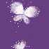 Le papillon