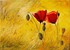 Le ravin aux coquelicots