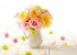 Rose de juin