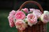Et rose elle vivra