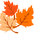 3 feuilles mortes !