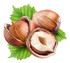 Les 3 noisettes