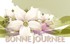 p'tit poeme
