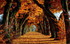 Bonne journée D'Automne !