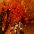 coeur d'automne