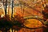 coeur d'automne