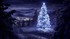 Le sapin