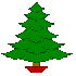 Le sapin