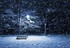 Nuit de neige