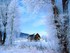 Hivernale