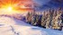 Toile D'hiver