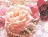 Les Perles de roses !
