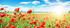 Petit printemps