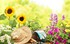 Petit printemps
