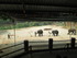 A dos d'éléphant !