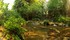 le parc national de Saioke !