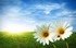Le printemps chasse l'automne 
