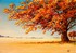 C'est l'automne !