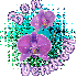 Poeme sur L'orchidée et la ro