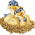 P'tit oiseau