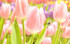 A une fleur