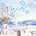 C'est L'hiver !