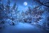 Nuit de Neige