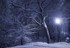 Nuit de Neige