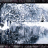 La neige est bien tomber !