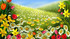 Rencontre avec le printemps !
