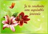 p'tite citation de disney