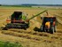 La Moisson