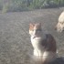 chouette du soleil !