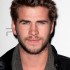 Liam Hemsworth dans son procha